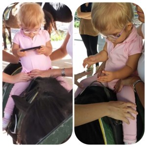 altAh9e-KJbEN3ooHyYZaWdd0ysj3BrJHQyyAwEIJxjJw1K